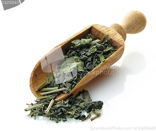 Image of wooden scoop with green tea and mint