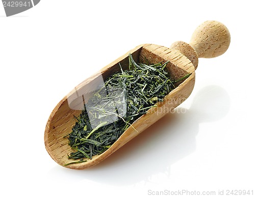 Image of wooden scoop with green tea Yame Gyokuro