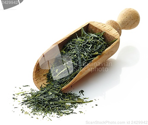 Image of wooden scoop with green tea Yame Gyokuro