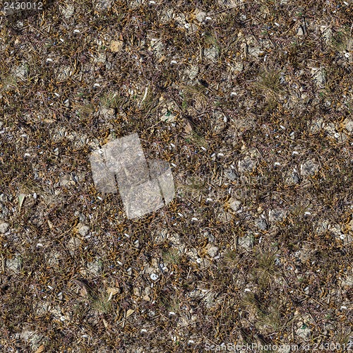 Image of Seamless Texture of Rocky Soil.