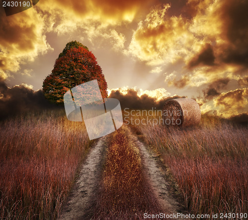 Image of Colorful Autumn Sunset