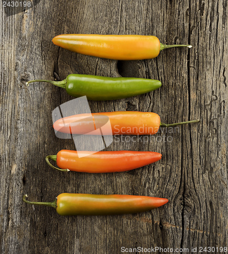 Image of Colorful Hot Pepper