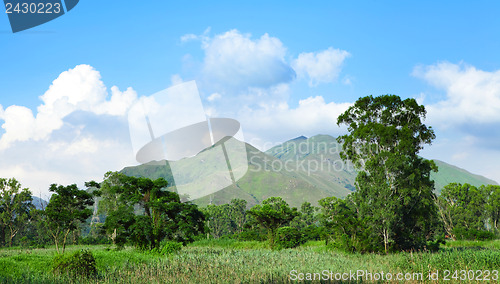 Image of General landscape