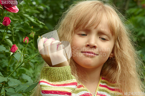 Image of Little girl near the rose bush