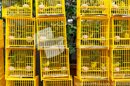 Image of Bird Market in Hong Kong