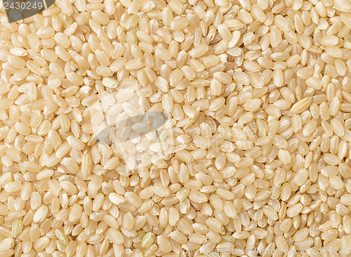Image of Uncooked brown rice