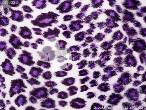 Image of Leopard Printed in purple