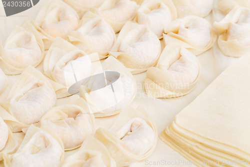 Image of Homemade Chinese dumpling with raw material