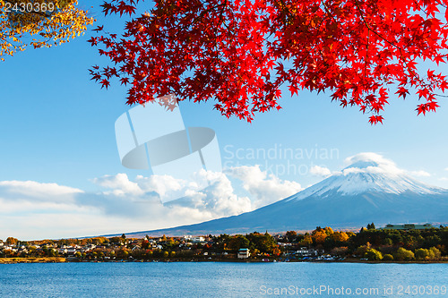 Image of Mt. Fuji in autumn
