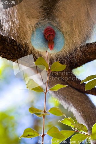 Image of Special African Easter eggs