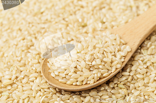 Image of Brown rice and teaspoon