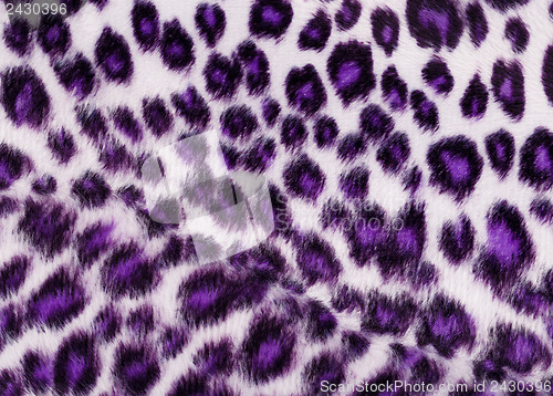 Image of Leopard Printed in purple