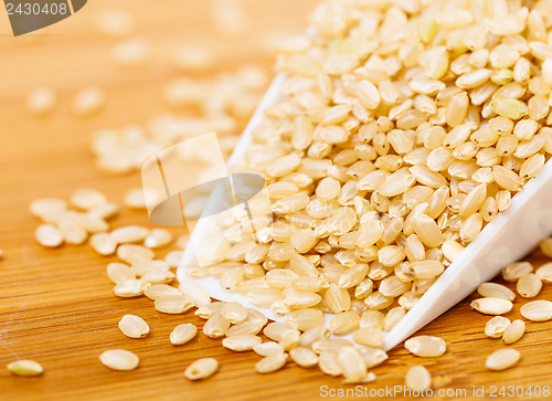 Image of Brown rice