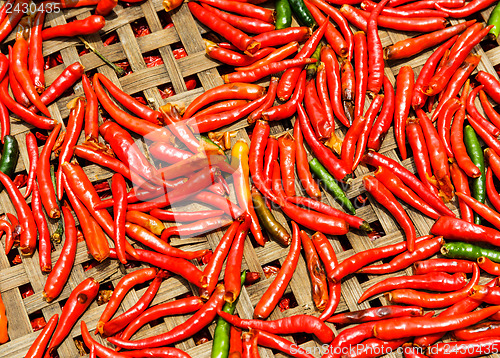 Image of Red Chili peppers on basket