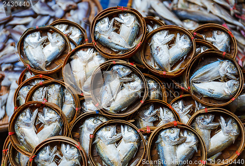 Image of Fish in barrels for sell at market in Bangkok