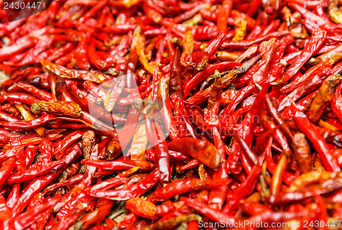 Image of Red Chili peppers