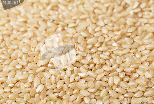 Image of Brown rice background