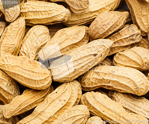 Image of Peanut close up