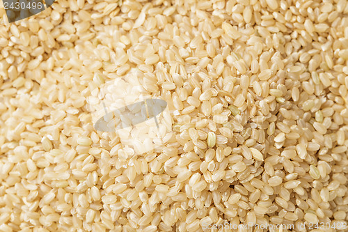 Image of Brown rice
