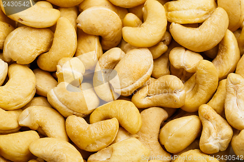 Image of Fresh cashew nuts