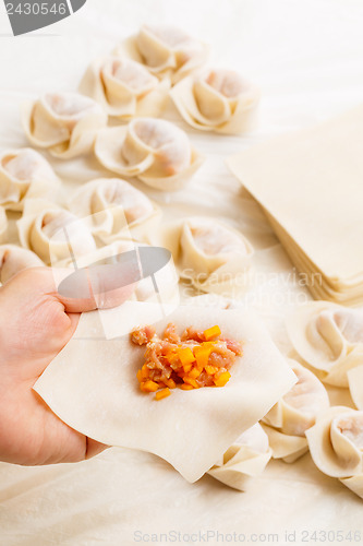 Image of Making of the chinese dumpling