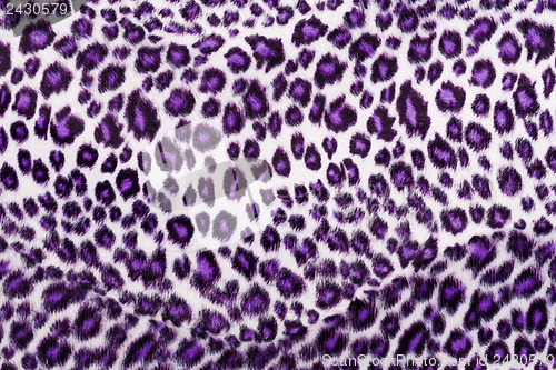 Image of Leopard Printed in purple