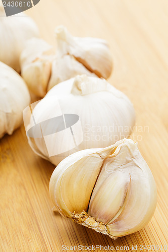 Image of Garlic