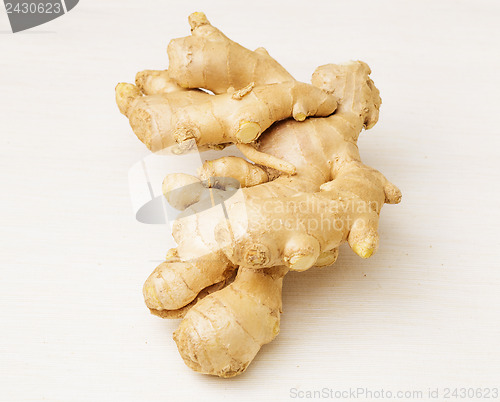 Image of Ginger isolated on white