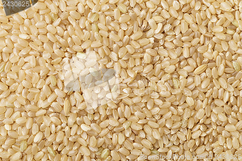 Image of Brown rice