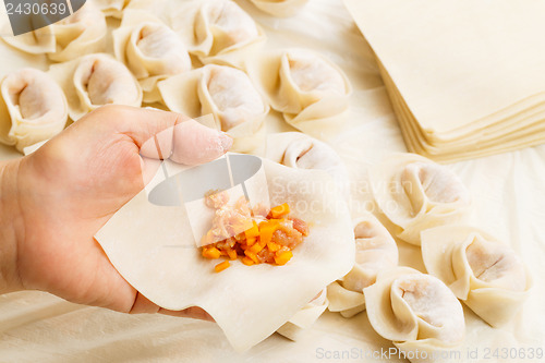 Image of Making of Chinese dumpling