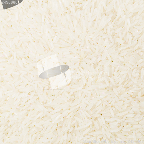 Image of Uncooked white rice close up