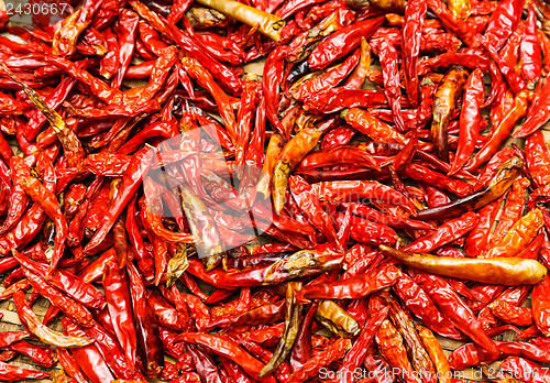 Image of Red Chili peppers