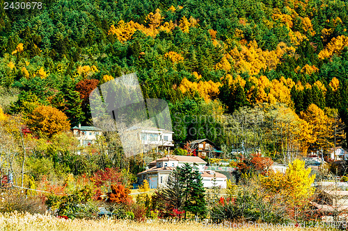 Image of Village in forest