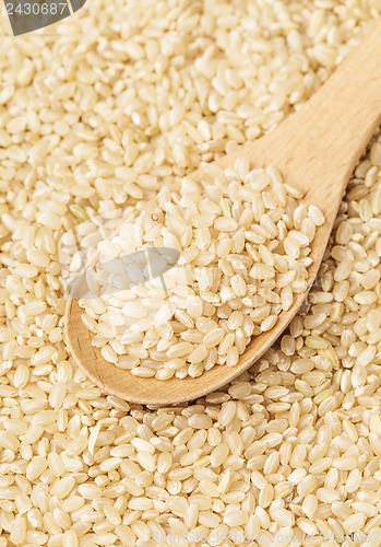 Image of Brown rice and teaspoon