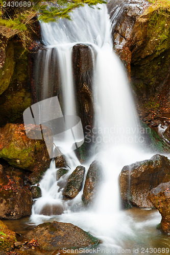 Image of Waterfall in forest
