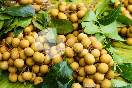 Image of Longan in fruit market