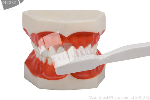 Image of dentures, brush your teeth