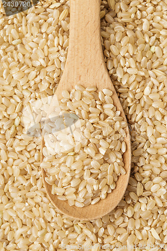 Image of Brown rice and teaspoon