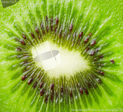 Image of Green kiwi fruit