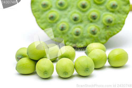 Image of Freshness Lotus seed and pod