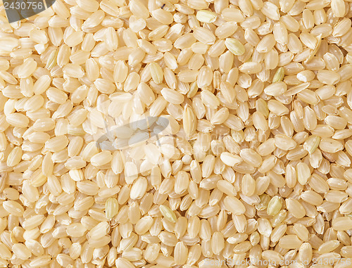 Image of Brown rice background