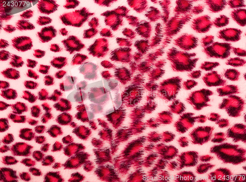 Image of Leopard Printed in pink