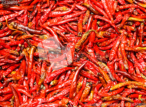 Image of Red Chili peppers