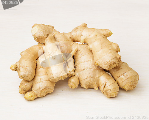 Image of Ginger isolated on white