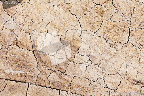 Image of Dried crack land