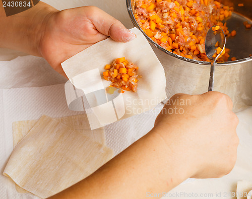 Image of Making of Chinese dumpling