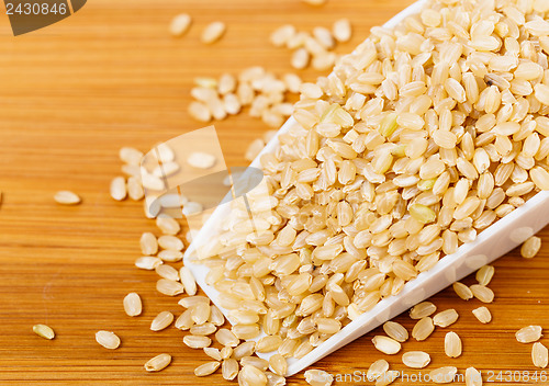 Image of Brown rice