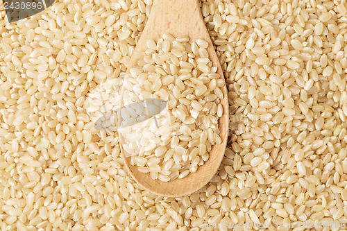 Image of Brown rice on wooden teaspoon