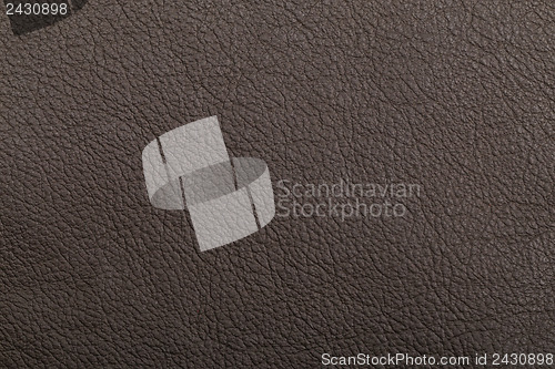 Image of Leather texture in black color