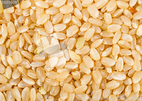 Image of Brown rice